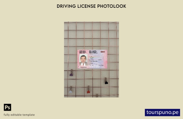 listo para imprimir plantilla frontal de aspecto fotográfico de la versión del p
